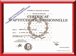 Certificat d'aptitude professionnel Alexandra